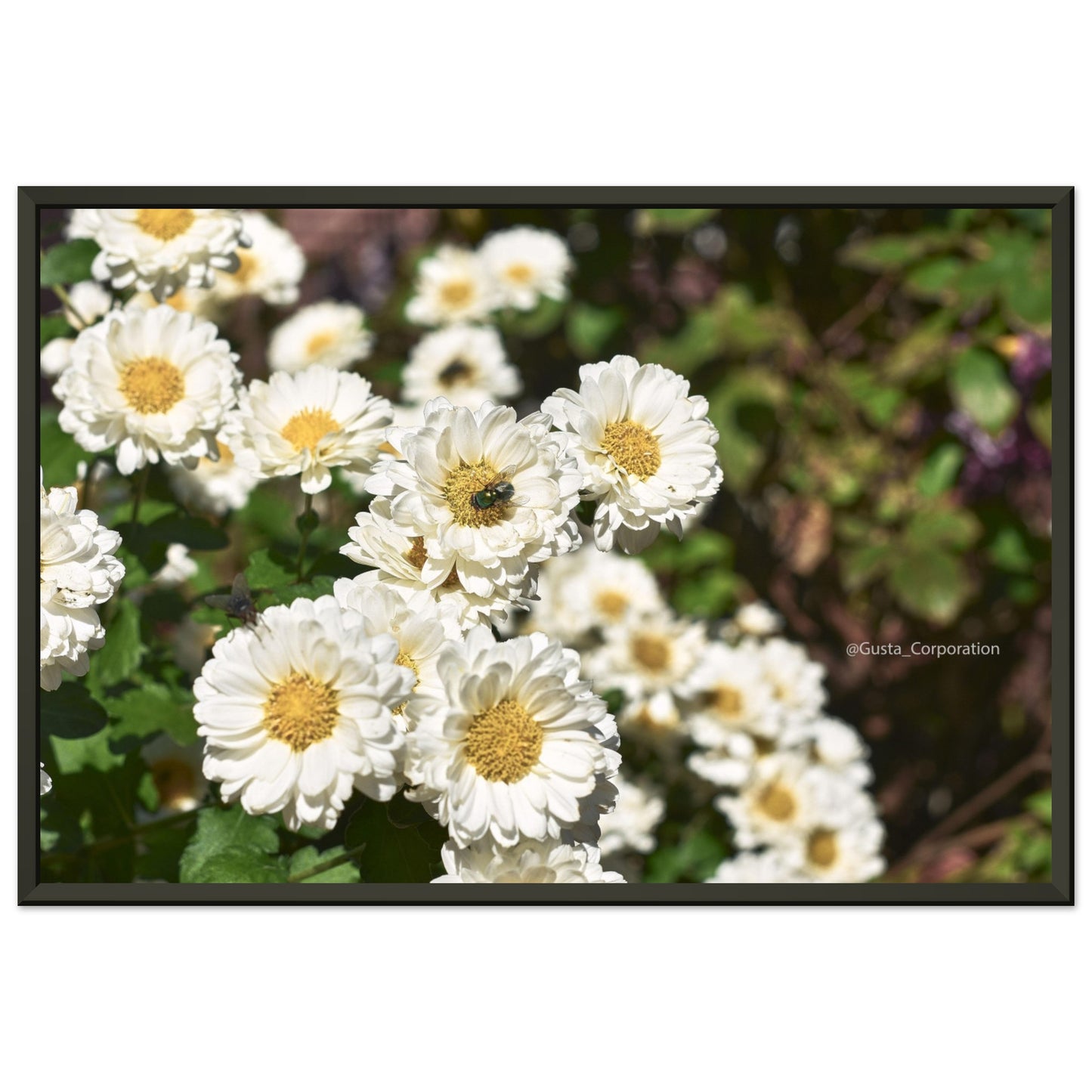 23dd9e75-1924-4cf9-adb4-688ee26f98c7