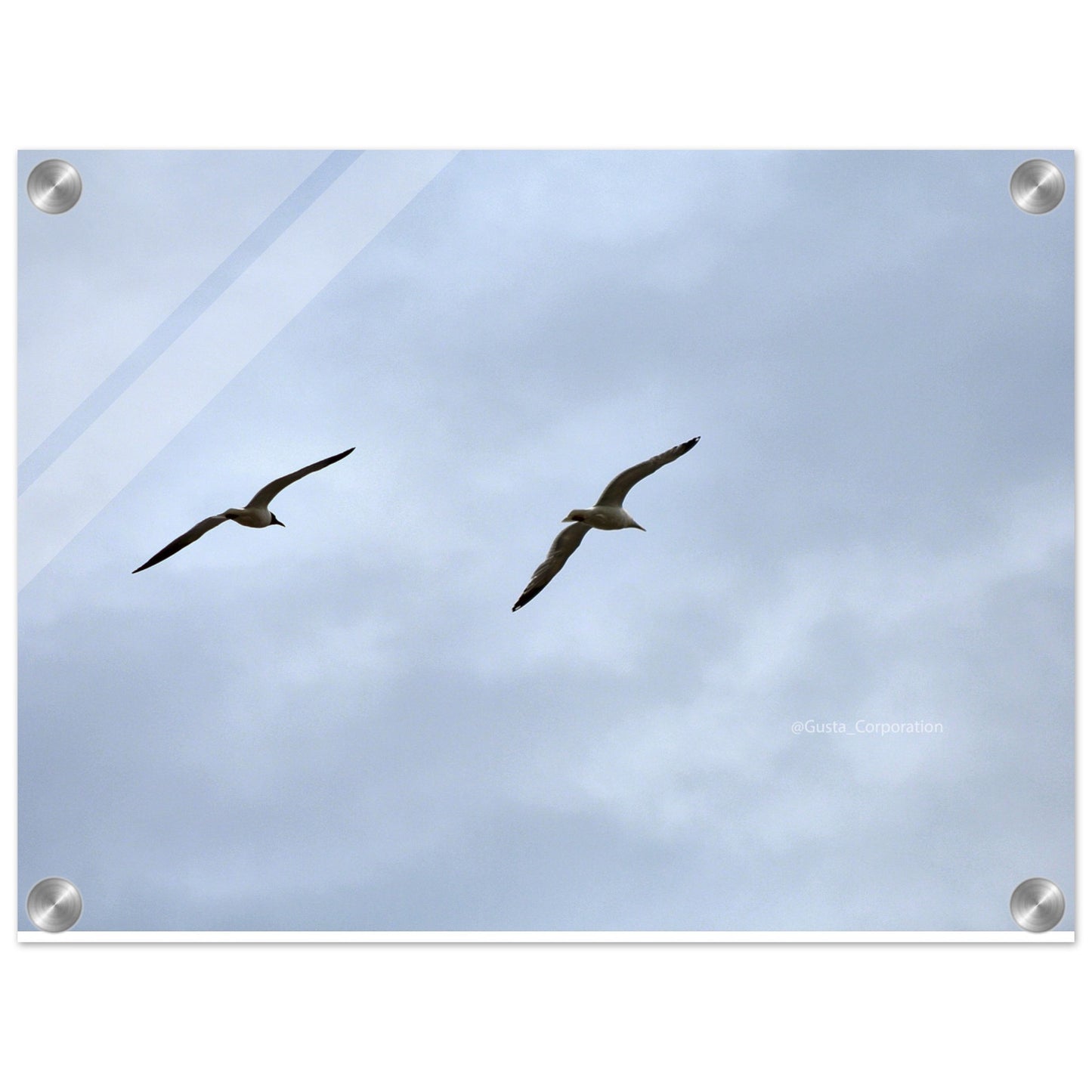 331ec082-155a-4135-a7a7-85de5988aaa1