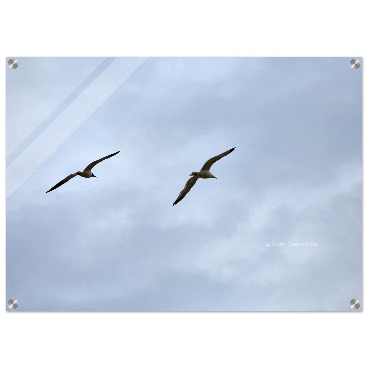 4bdd9541-1d56-4916-acdb-0409826153ae