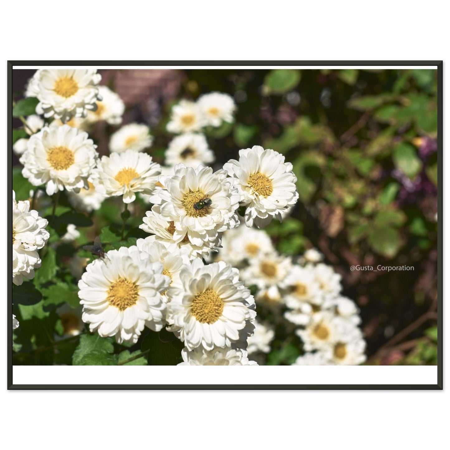 5f1a6282-85c2-4329-9b02-b7ff8a2b4d8b