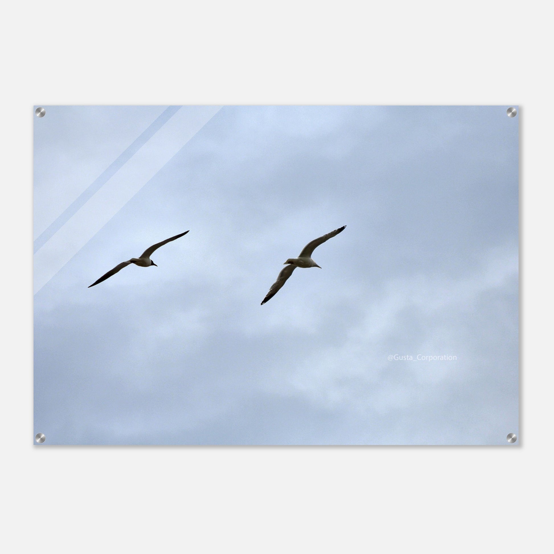 775f465c-0963-4516-a97e-865414d50840