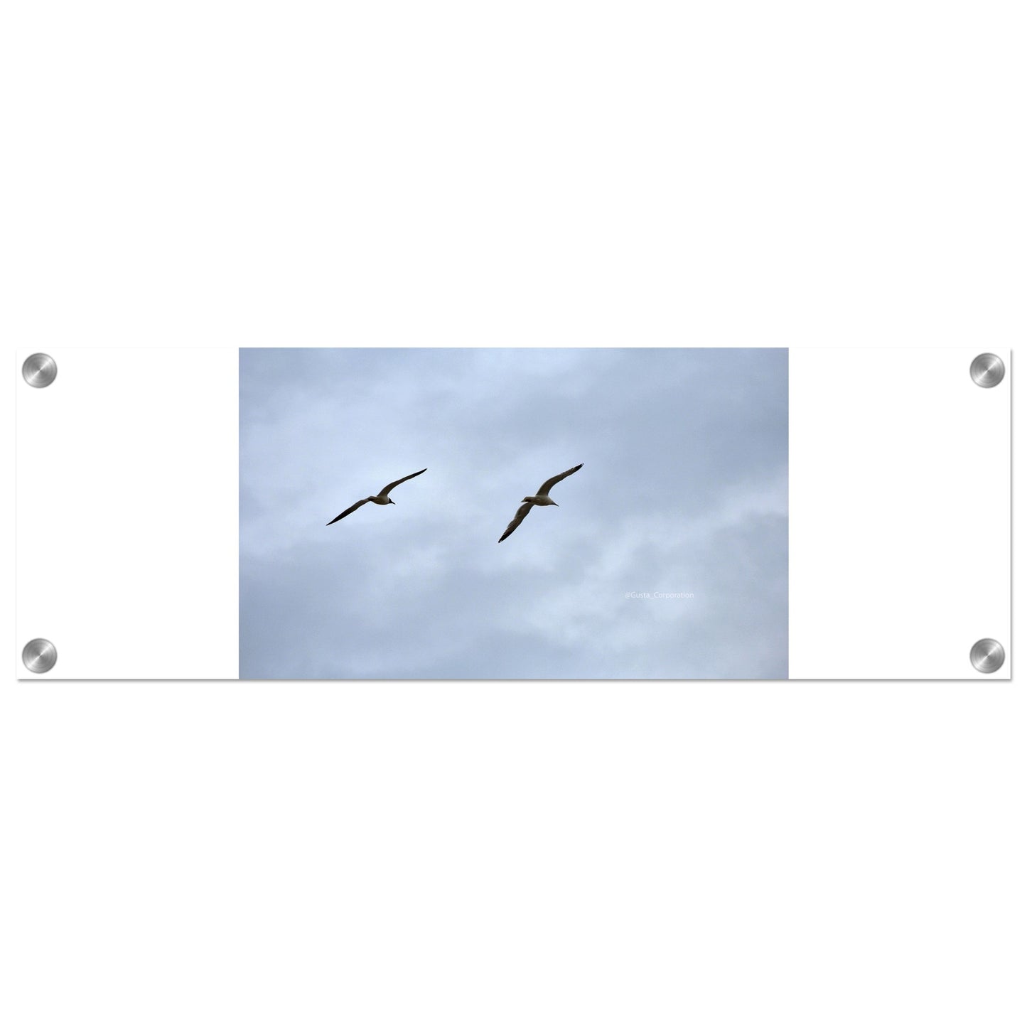 92a34662-7aaf-4d1f-b73e-df3d68cd11fb