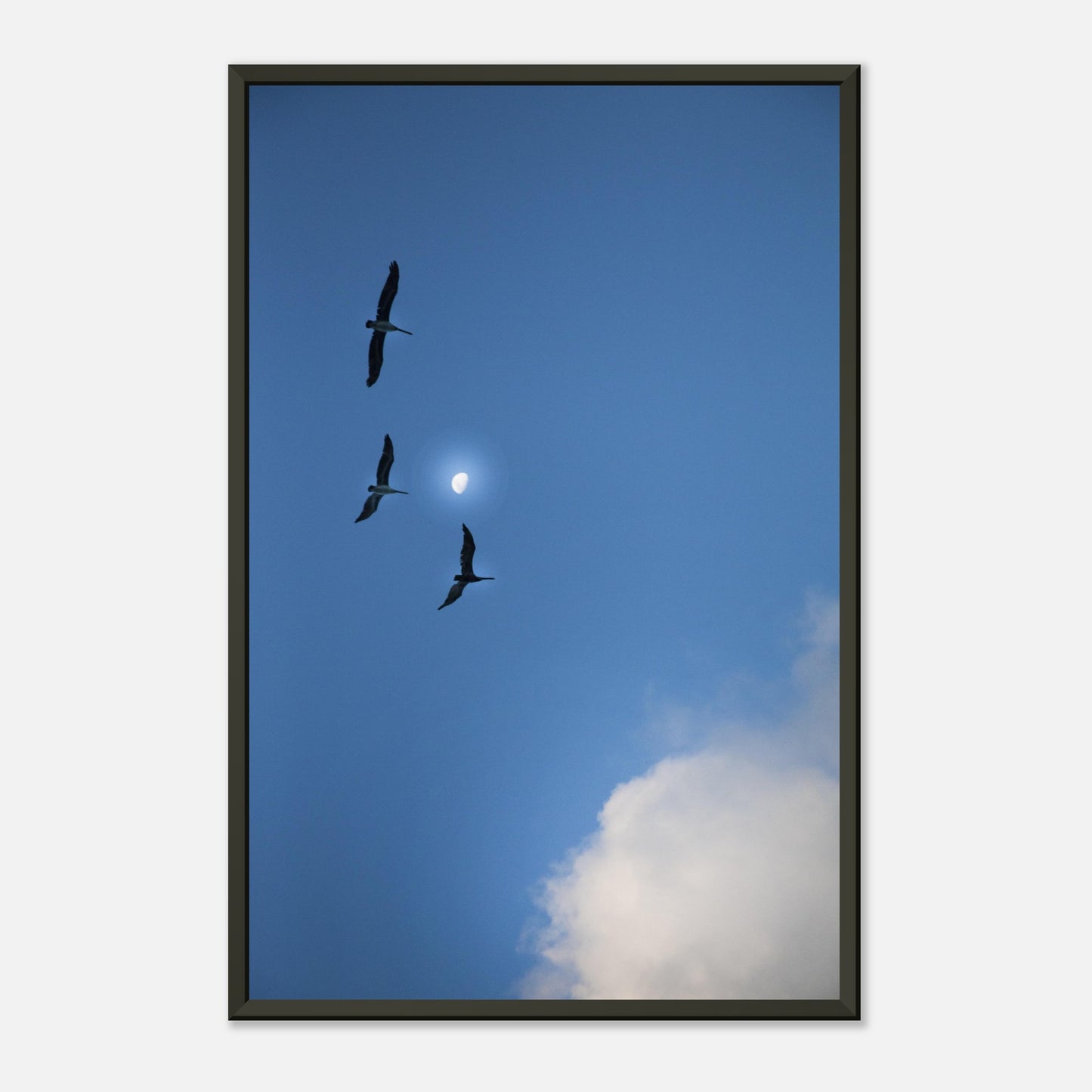 9dbe29bd-cb6c-4a3c-933e-0319666ae09f