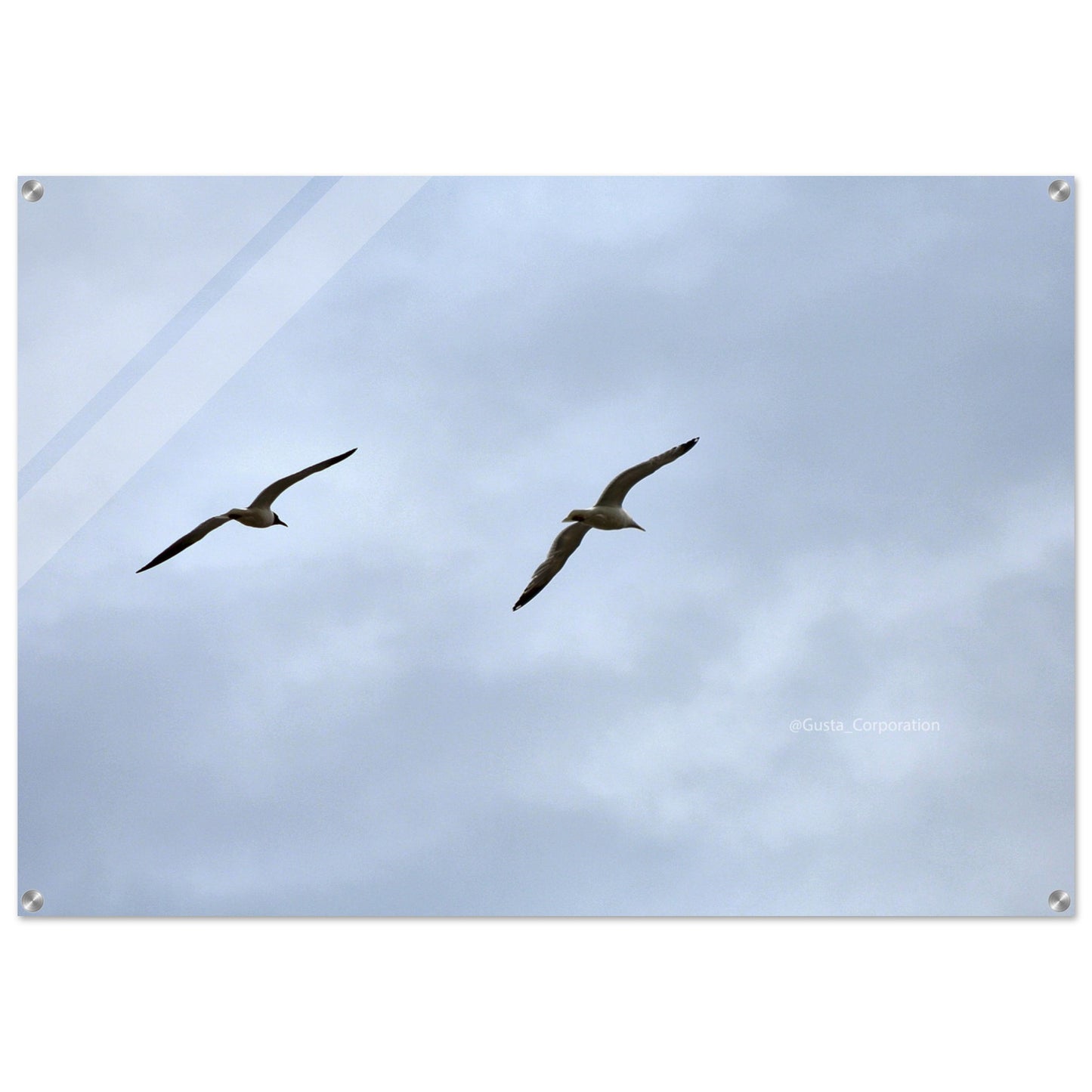 d1fa45b2-d966-4dd2-a8a0-7890afc7425a