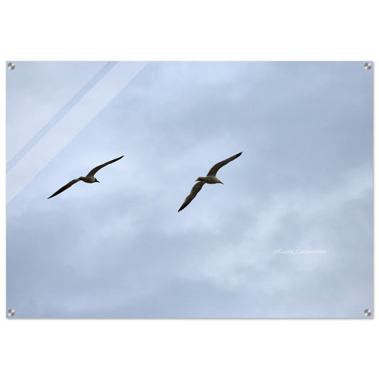 d1fa45b2-d966-4dd2-a8a0-7890afc7425a