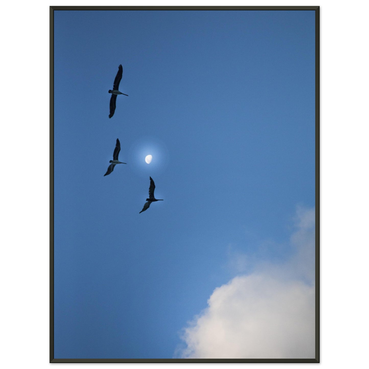 daf13895-9ac7-4793-8857-539109836263