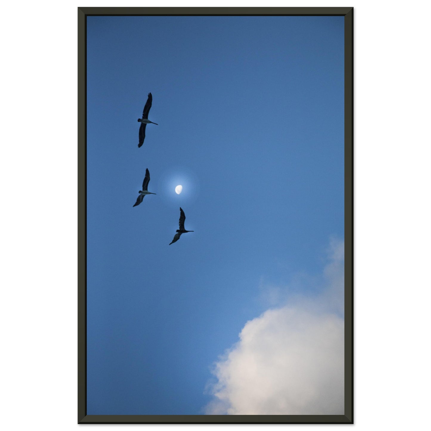 e3850cea-f766-4965-98ea-7ce3de567b5e