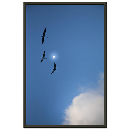 e3850cea-f766-4965-98ea-7ce3de567b5e