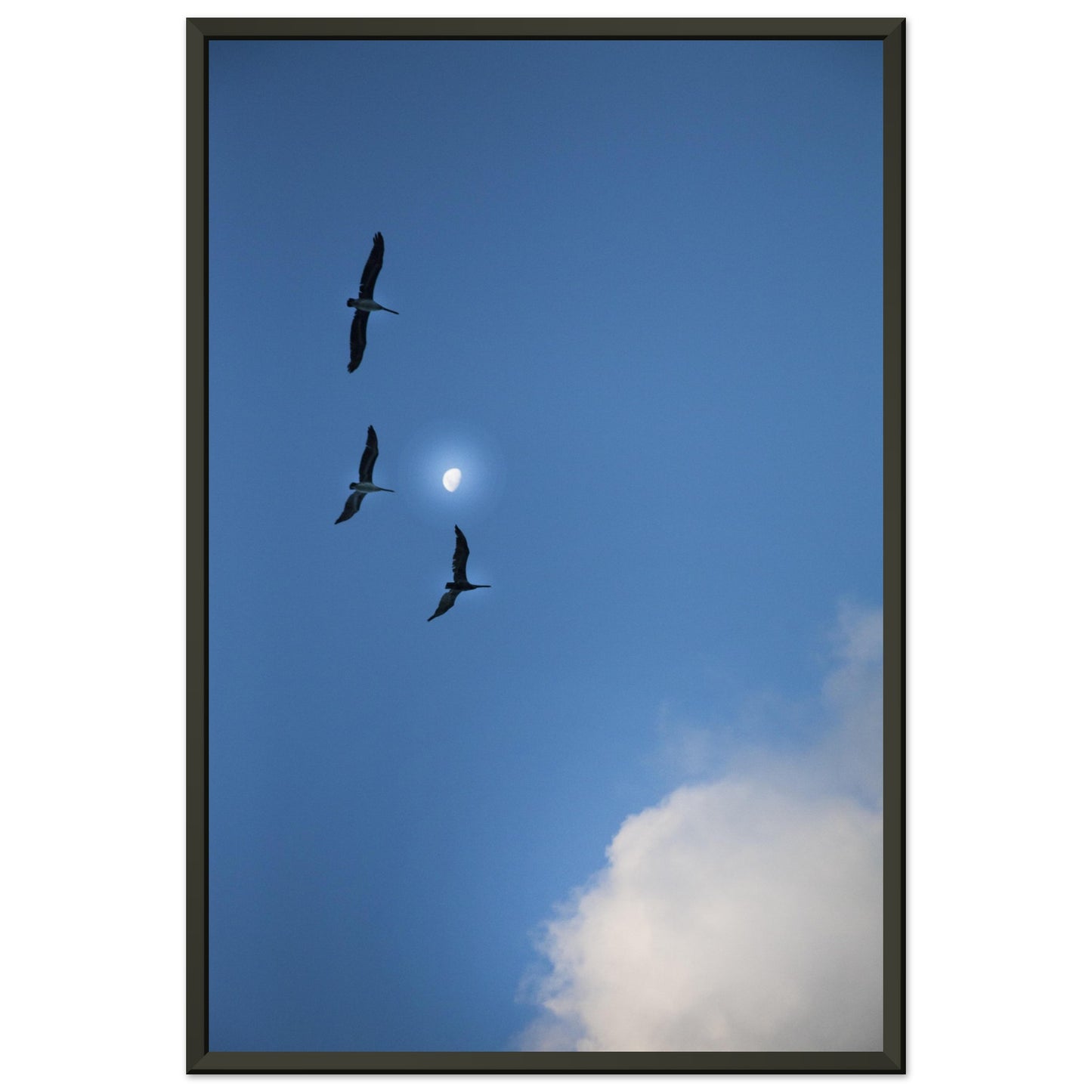 e8f43962-91bf-494f-b738-d09f4b486c03