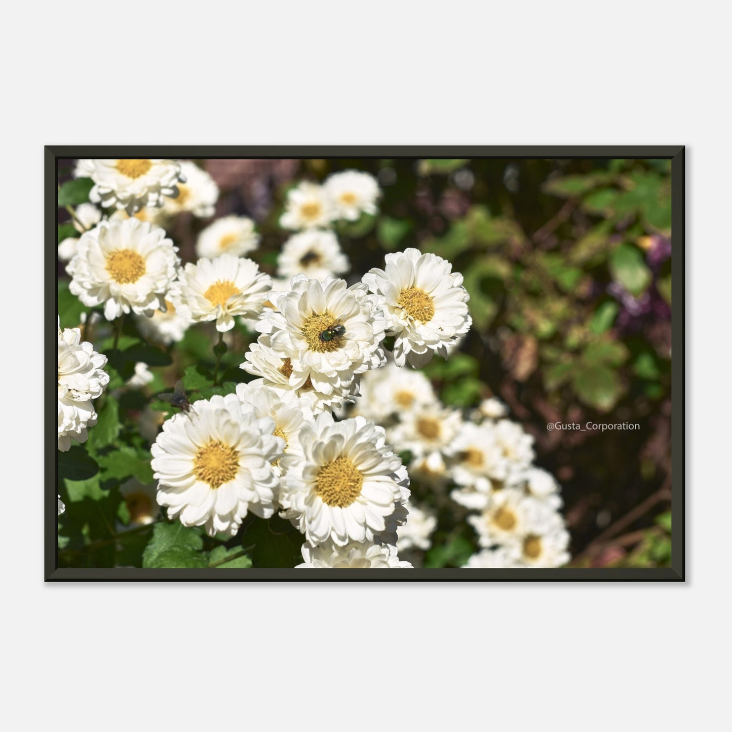 f0843796-11f7-47a8-a371-a4b6becc4a22