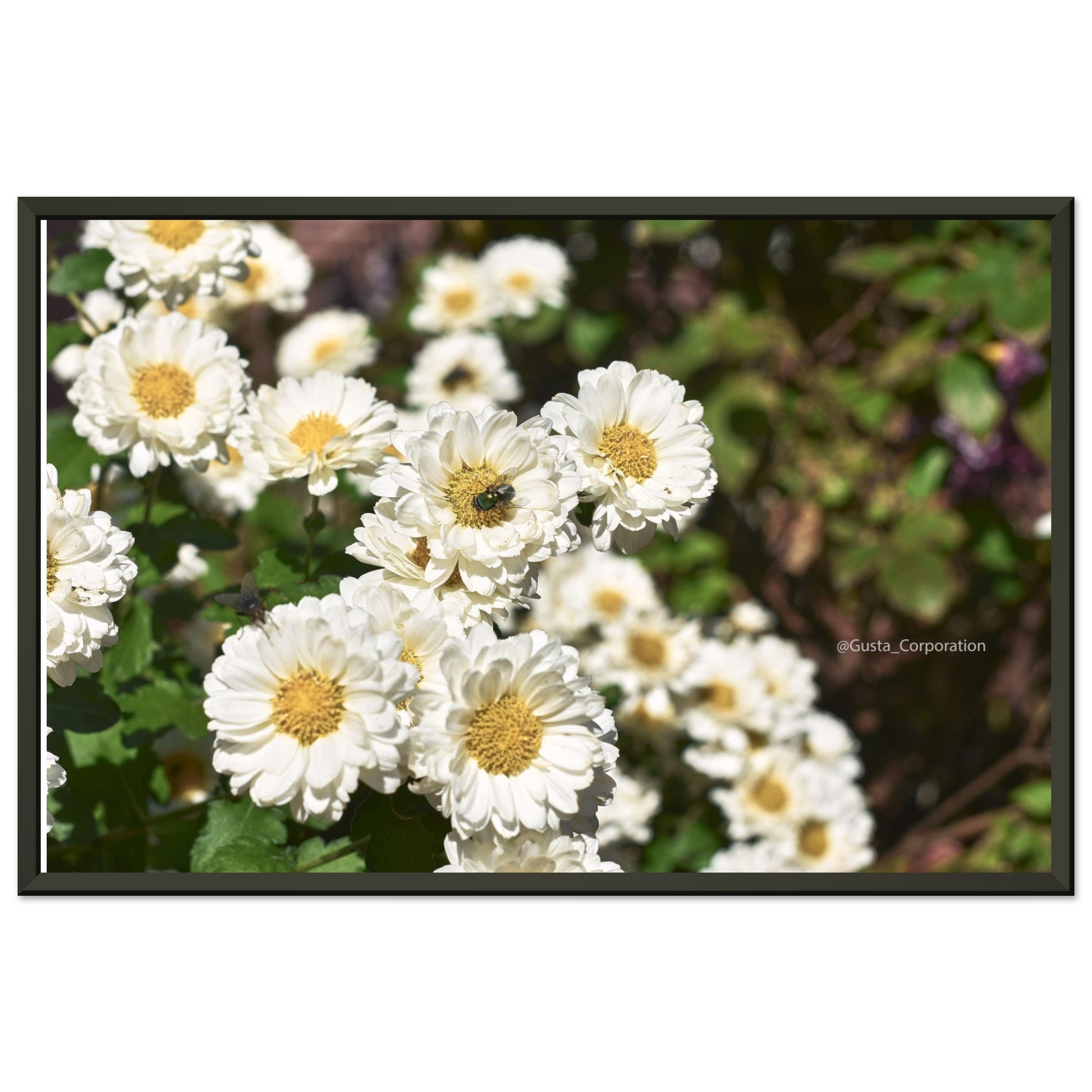 f867ce59-e4ad-4b5f-a4b7-037670e9ad54